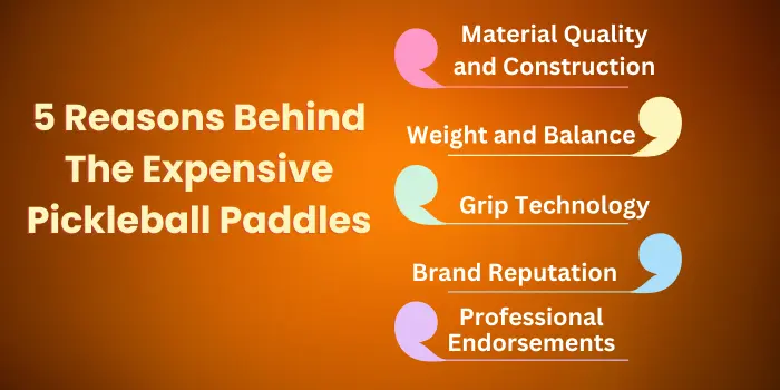 5 Reasons Behind The Expensive Cost Of Pickleball Paddles